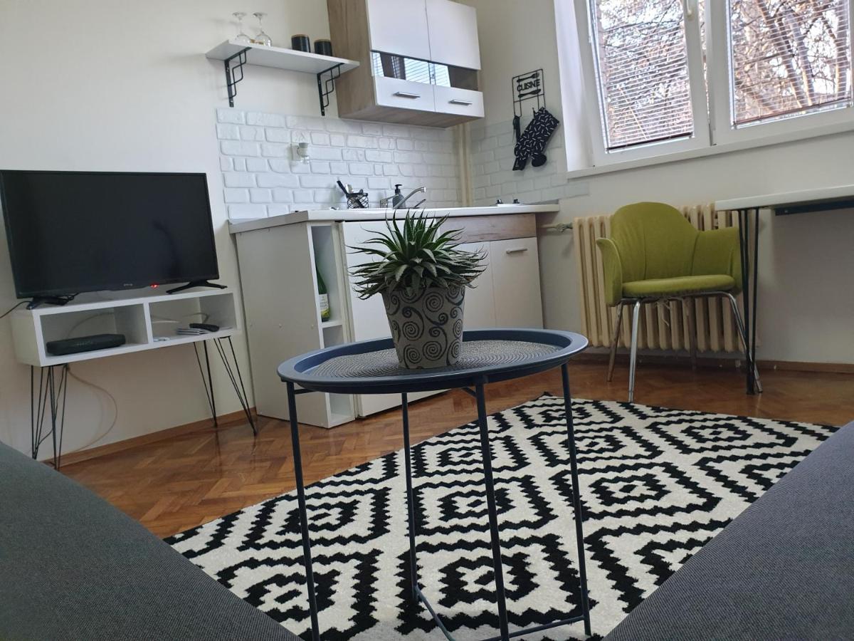 Apartman Park Jagodina-Studio U Centru Grada ภายนอก รูปภาพ